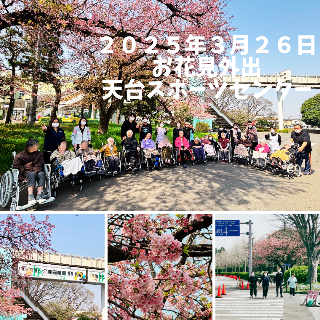 【日常】一倫荘＊お花見散歩に行ってきました♪