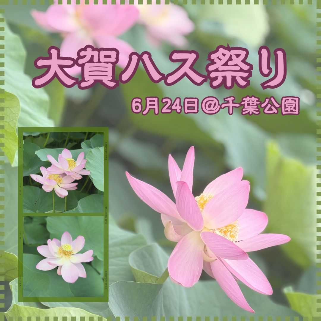 【日常】かなめ一倫荘☆大賀ハスまつり